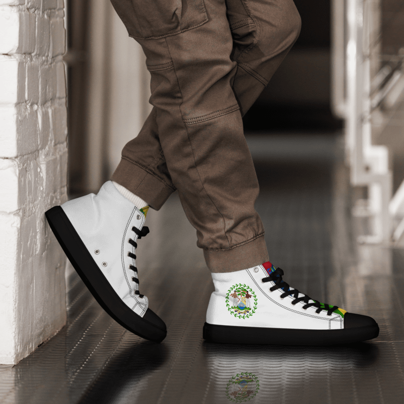 Ren's - Street Addic v1-Men’s high top canvas shoes